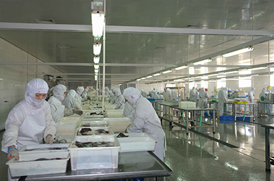 p12.jpg